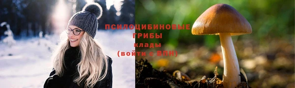 первитин Осташков