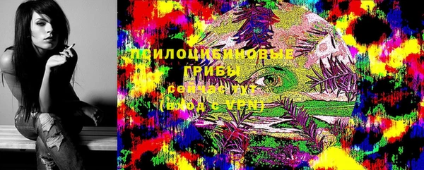 спайс Няндома