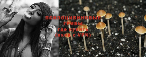 первитин Осташков